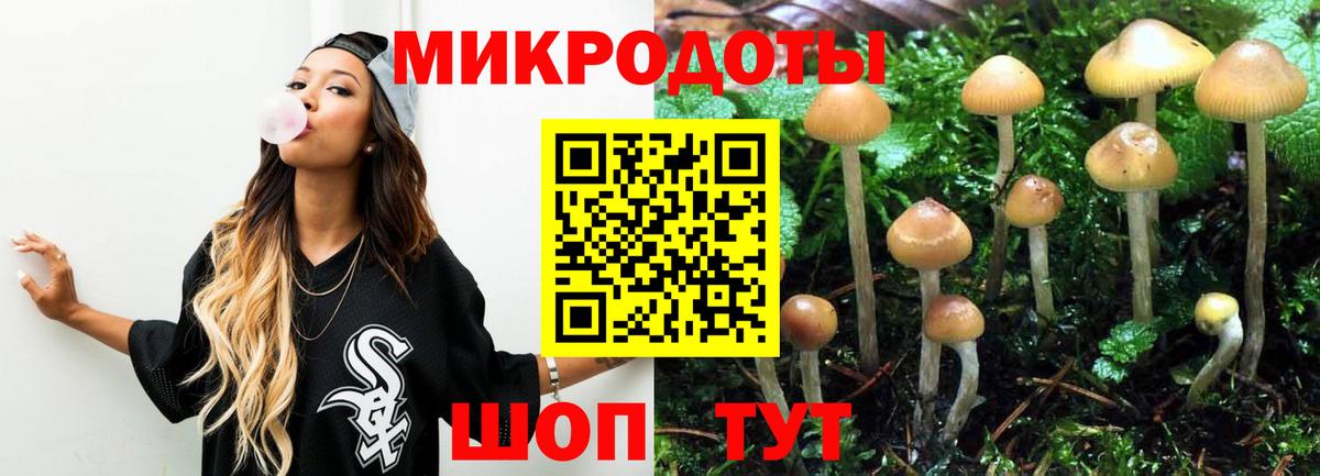 Белореченск  Псилоцибиновые грибы мухоморы  Галлюциногенные грибы Psilocybe  Вход с VPN 